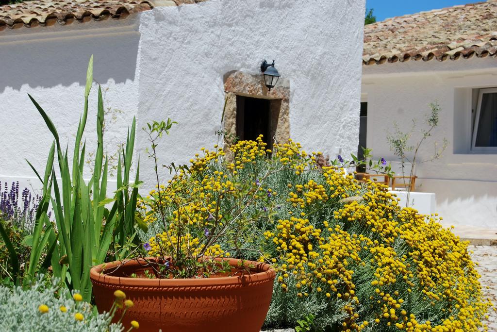 Farmhouse Of The Palms São Brás de Alportel エクステリア 写真